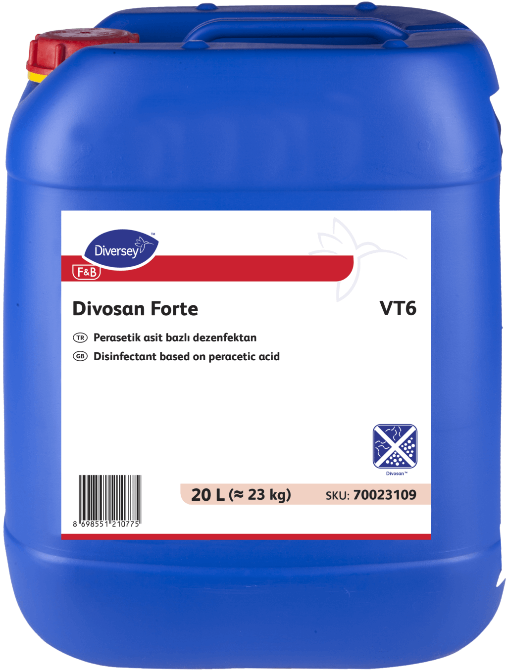 Divosan Forte VT6 20L